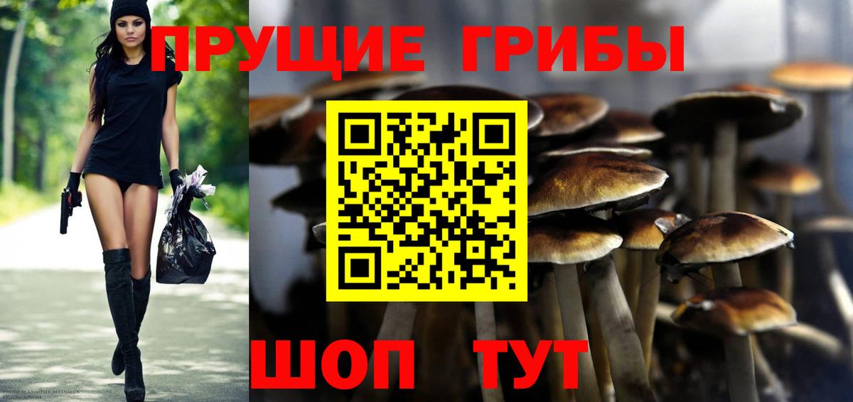 Псилоцибиновые грибы мухоморы Усинск